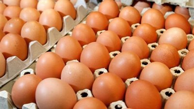 انخفاض سعر طبق البيض بمقدار 10 جنيهات خلال 4 أيام