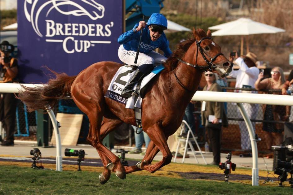 «نوتبيل سبيتش» لجودولفين بطل سباق البريدرز كب للميل (فيديو)