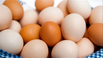 بـ 150 جنيه سعر كرتونة البيض اليوم االأحد 9 نوفمبر 2025