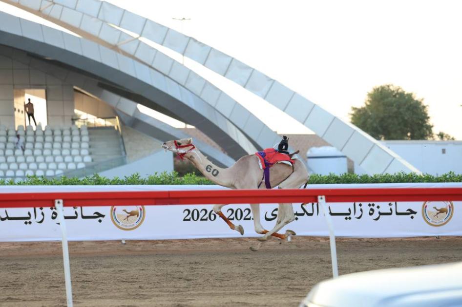 «عنابة» تحصد كأس الأبكار الحقايق الرئيسي