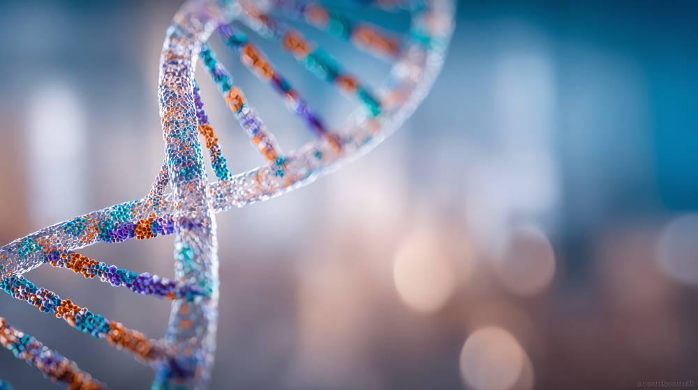 جامعة محمد بن زايد تفتح ماجستير ودكتوراه علم الأحياء الحاسوبي