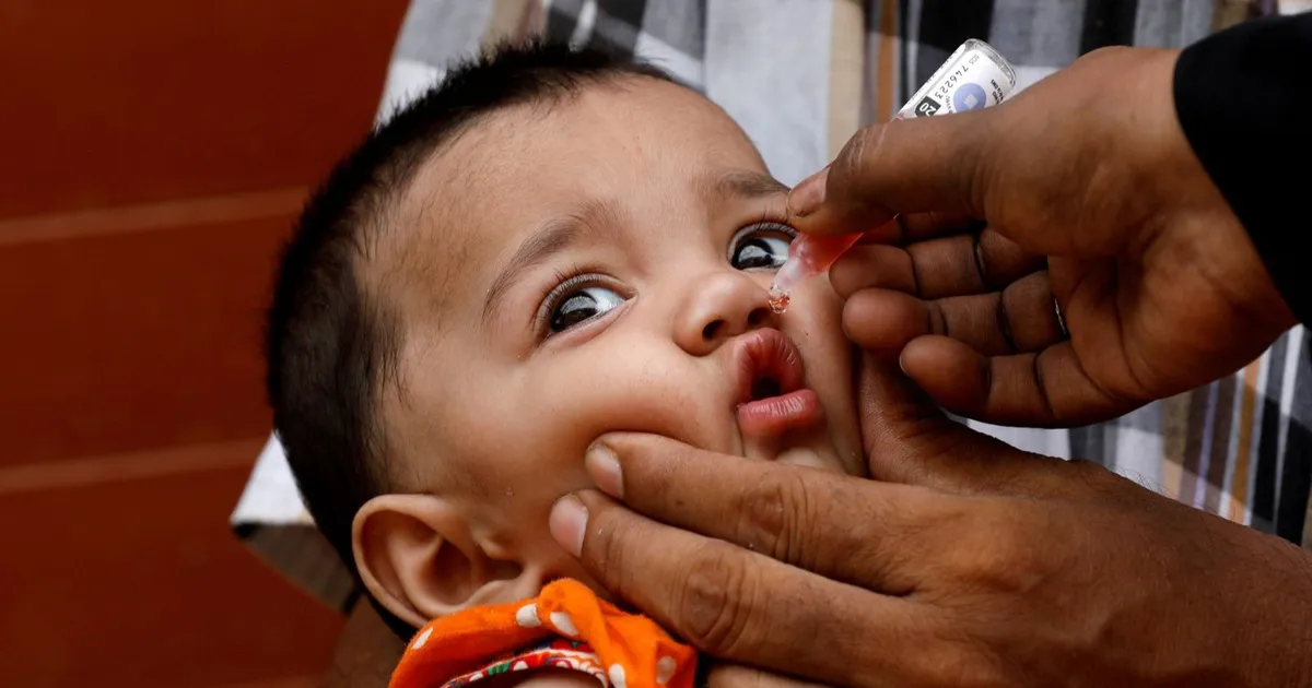 رصد التركيبة الأصلية لفيروس شلل الأطفال في مياه صرف بألمانيا