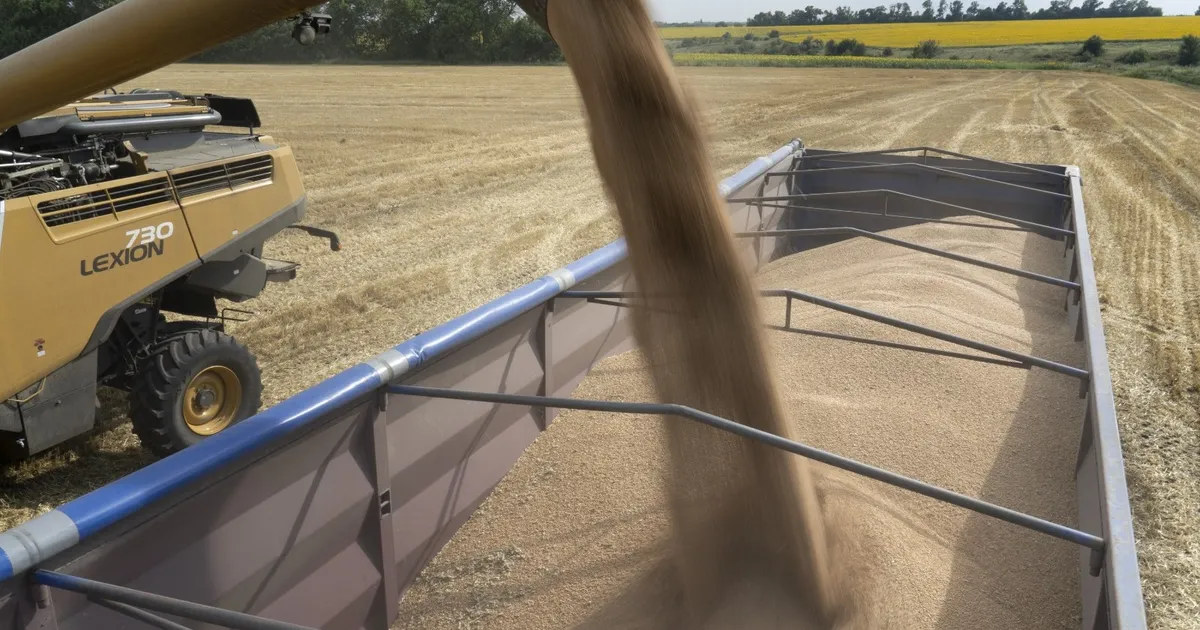 بولندا وسلوفاكيا والمجر تتحدى بروكسل بحظر سلع أوكرانيا