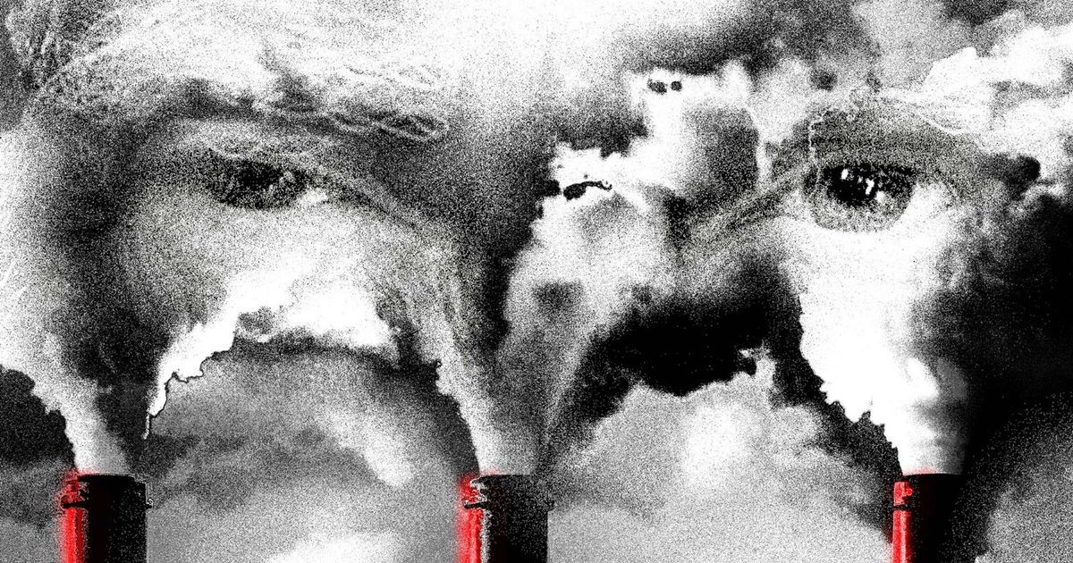 ترمب يفرض على العالم الاعتماد على النفط والغاز.. لماذا؟