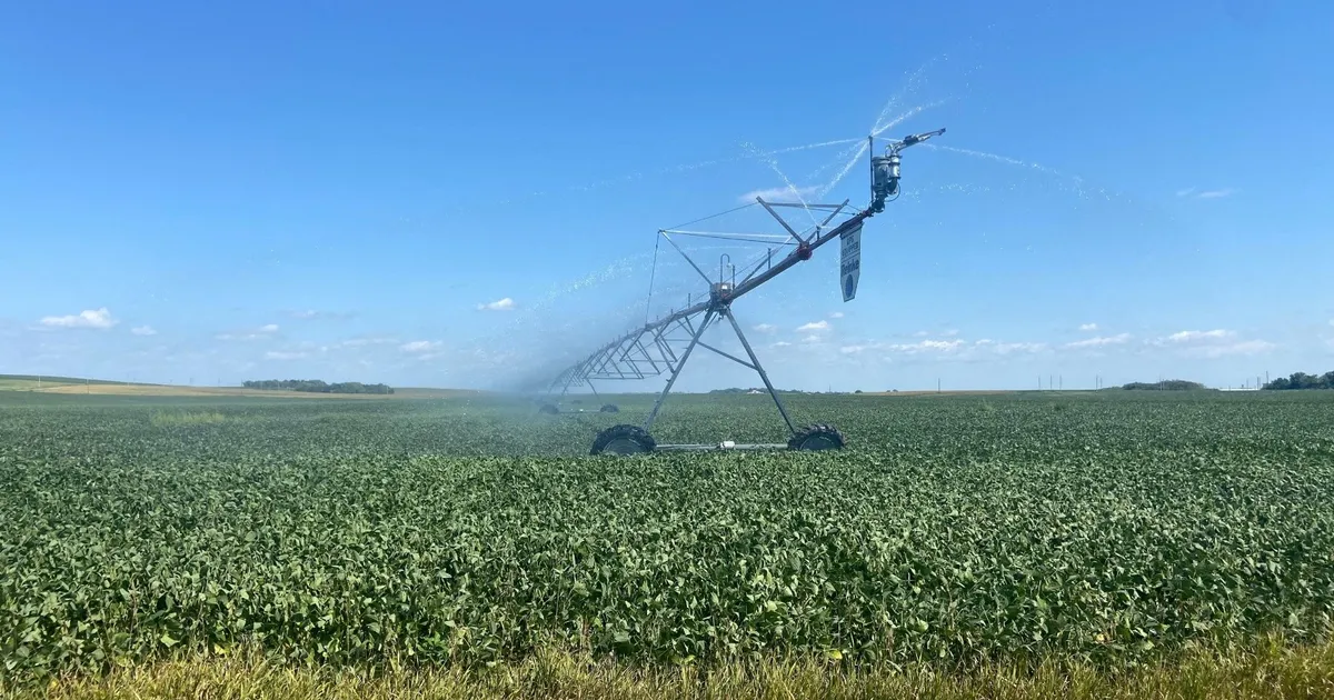 الهدنة التجارية.. الصين تشتري 14 شحنة من فول الصويا الأميركي
