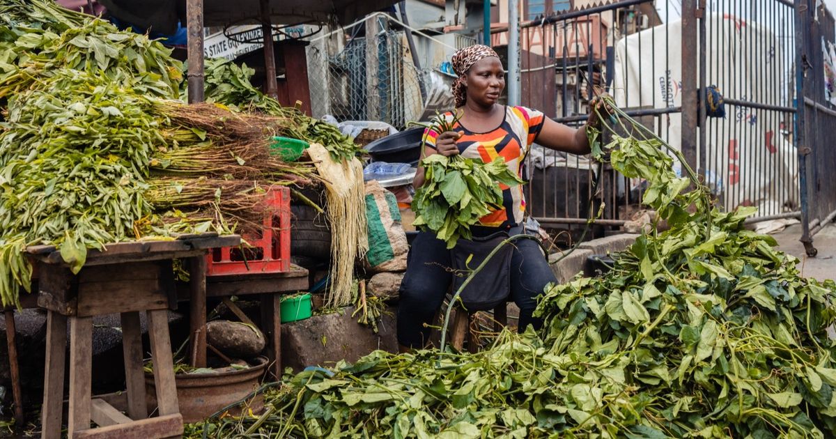 الإمارات تعزز التجارة مع أفريقيا مستهدفة الأمن الغذائي وفرص النمو