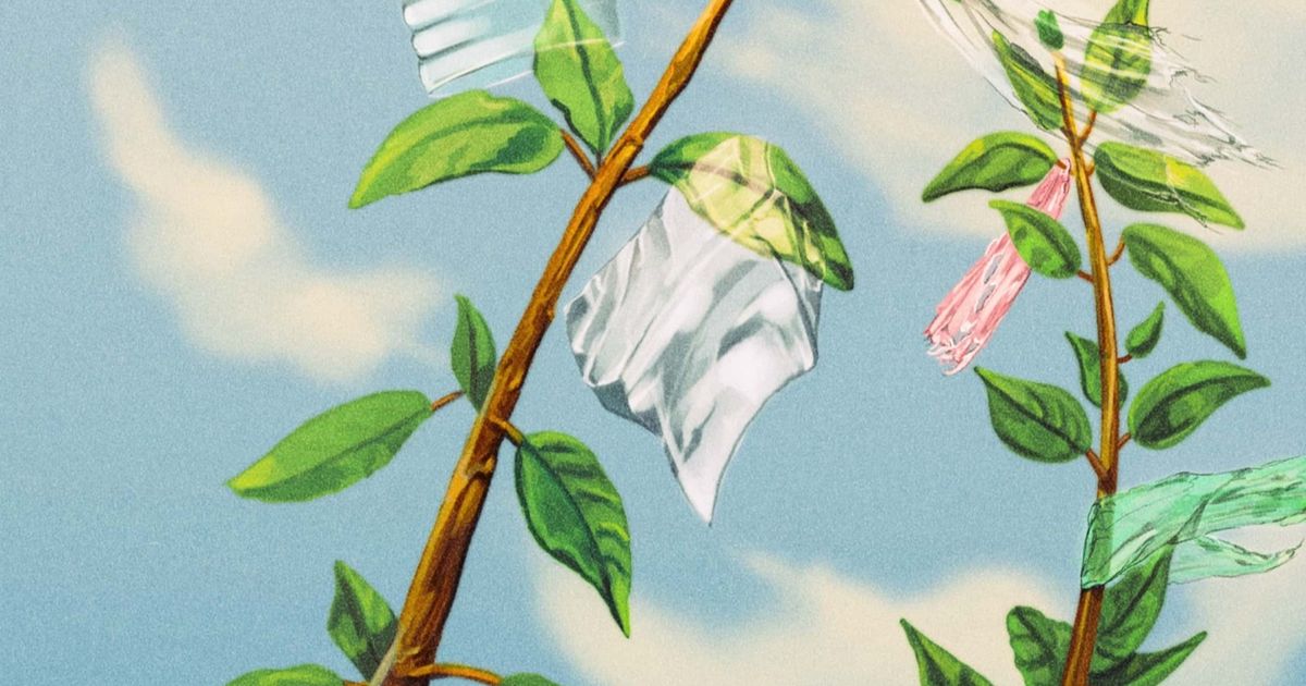 لماذا البلاستيك القابل للتحلل في قفص الاتهام؟