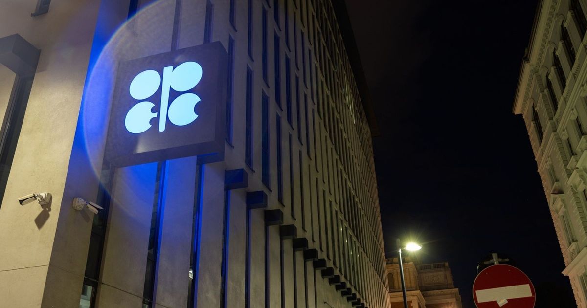 أسعار النفط ترتفع وسط ترقب لتقارير “أوبك” و”وكالة الطاقة الدولية”