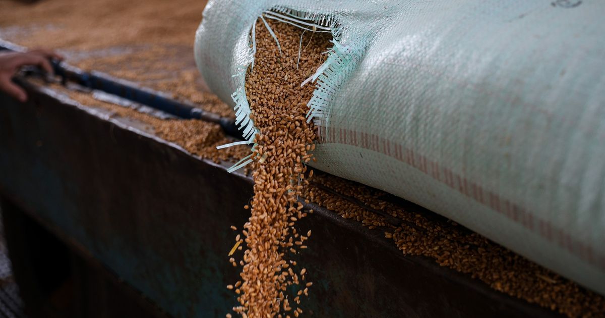 مصر تواصل موجة استيراد القمح بزيادة الواردات من البحر الأسود