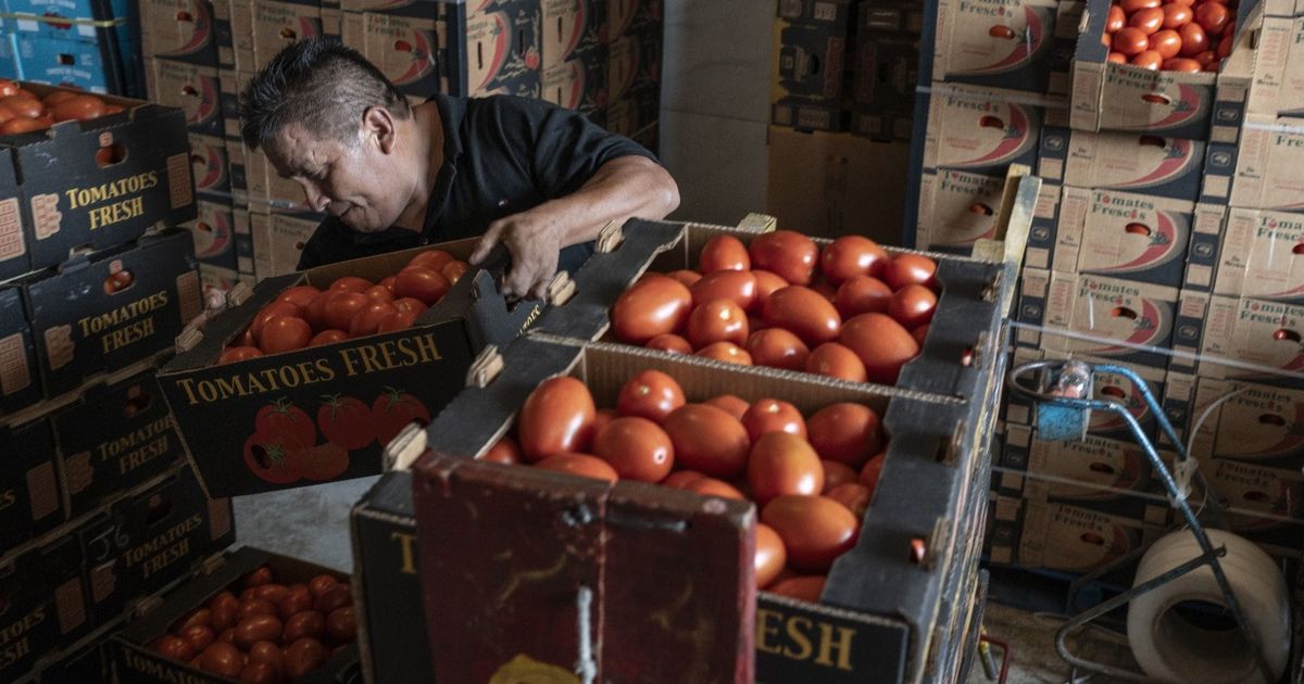 ترمب يخفض الرسوم على اللحوم والبن والطماطم والموز لضبط الأسعار