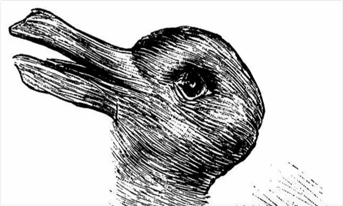 بطة ولا أرنب.. ما تراه عيناك أولًا هو ما يكشف عن حقيقتك فهل أنت شخص عاطفي أم منطقي