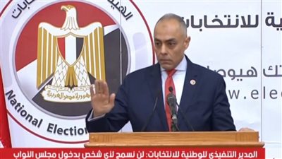 إقبال ملحوظ للمصريين بالخارج على التصويت في الدوائر الـ19 الملغاة دون شكاوى أو خروقات