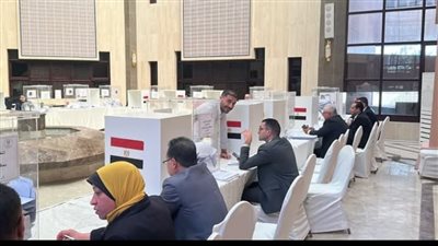 إقبال كبير من المصريين بالسعودية للتصويت في الدوائر الـ19 الملغاة بانتخابات مجلس النواب