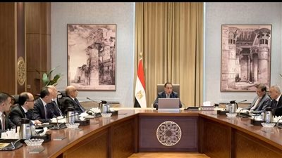رئيس الوزراء يبحث إزالة معوقات الاستثمار وتعزيز ثقة المستثمرين في السوق المصرية