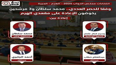 محمد سلطان و3 مرشحين يخوضون جولة الإعادة على مقعدي الهرم