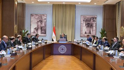 رئيس الوزراء يتابع جهود توافر الأدوية وموقف سداد مستحقات شركات الدواء: دعم مُستدام للصناعة