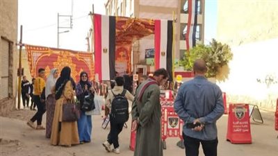 إقبال ملحوظ في دوائر البحيرة.. وانتظام العملية الانتخابية بأبوحمص وإدكو