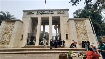 118 فصيلة جديدة وظهور أول للأسود والنمور بالجيزة