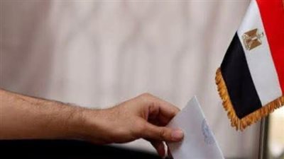 فتح لجان التصويت بالسفارات المصرية في الإمارات وسلطنة عُمان وأذربيجان وجورجيا لاستقبال الناخبين في انتخابات الدوائر المُلغاة