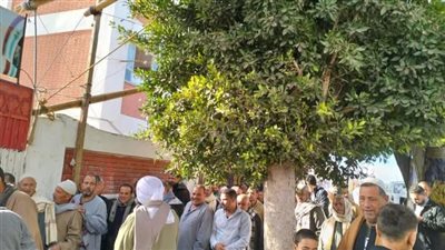 إقبال كبير بلجان المحمودية بمحافظة البحيرة مع فتح باب التصويت في انتخابات مجلس النواب