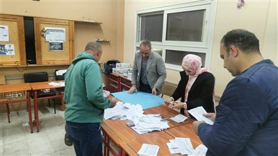 استمرار عمليات الفرز بدوائر الجيزة في اللجان الفرعية قبل الحصر العددي (صور)