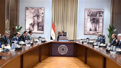 رئيس الوزراء يتابع مستجدات العمل في عدد من ملفات وزارة الصحة والسكان