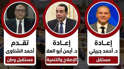 أبو العلا وجبيلى في جولة الإعادة لانتخابات النواب للمرة الثانية ..وتقدم مرشح مستقبل وطن