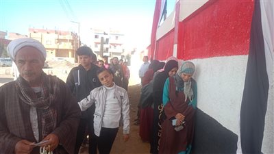 الحصر العددى بأبوتيج.. جولة إعادة مرتقبة بين 4 مستقلين وخسارة لمرشح للجبهة الوطنية