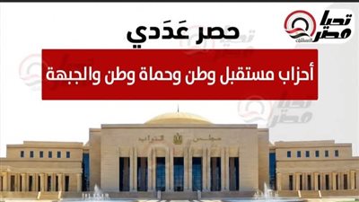 «مستقبل وطن» و«حماة وطن» و«الجبهة» يحصدون 4 مقاعد فقط ويخسرون 12 في دوائر الإعادة