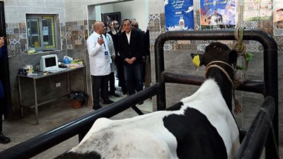 رئيس الوزراء يتفقد الوحدة البيطرية بقرية “نوى” ضمن مشروعات المبادرة الرئاسية “حياة كريمة” بالقليوبية