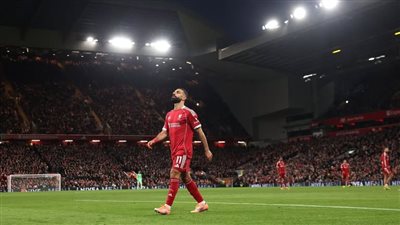 ملخص أهداف ونتيجة مباراة ليفربول وبرايتون في الدوري الإنجليزي الممتاز محمد صلاح