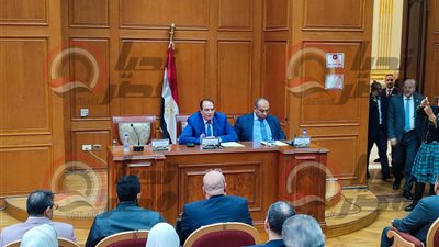 اسكان الشيوخ تناقش اقتراح النائبة نيفين فارس بشأن استكمال الطريق الصحراوى الشرقى