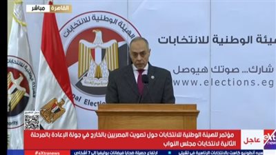 الشباب من 31 وحتى 40 عامًا الأكثر تصويتًا في انتخابات النواب بجولة الإعادة للمرحلة الثانية