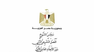 بين الردع والإنصاف.. تعديلات «الكهرباء» في الشيوخ تعيد ضبط ميزان العقوبة وتفتح باب التصالح