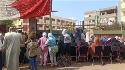 انتخابات مجلس النواب.. توافد الناخبين أمام اللجان بالمنوفية للإدلاء بأصواتهم