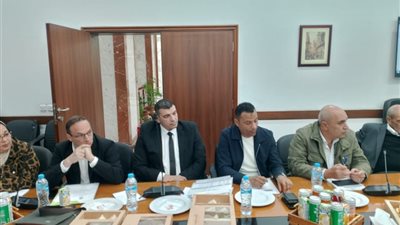 تنسيق مستمر مع مصلحة الجمارك لحل الشكاوى أولًا بأول