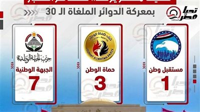 تحيا مصر يرصد.. خسائر الكبار بمعركة الدوائر الملغاة الـ 30