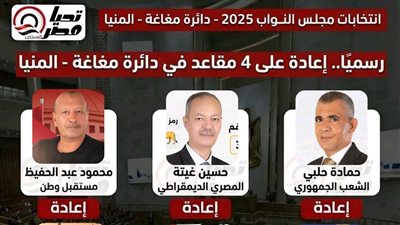 انتخابات مجلس النواب.. رسميًا إعادة على 4 مقاعد في دائرة مغاغة بالمنيا