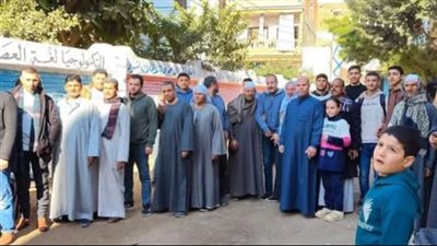 انتخابات مجلس النواب..إستمرار توافد الناخبين على لجان فاقوس