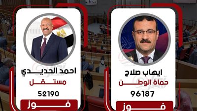 وفقًا للحسر العددي.. فوز مرشح الجبهة وأخر مستقل في دائرة المنزلة بالدقهلية