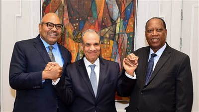 سد جوليوس نيريري نموذج ناجح للتعاون بين دول حوض النيل