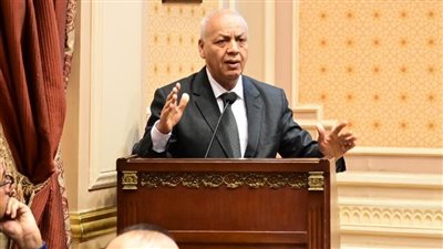 الوعي الشعبي المصري خط الدفاع الأول في مواجهة مخططات تصفية القضية الفلسطينية