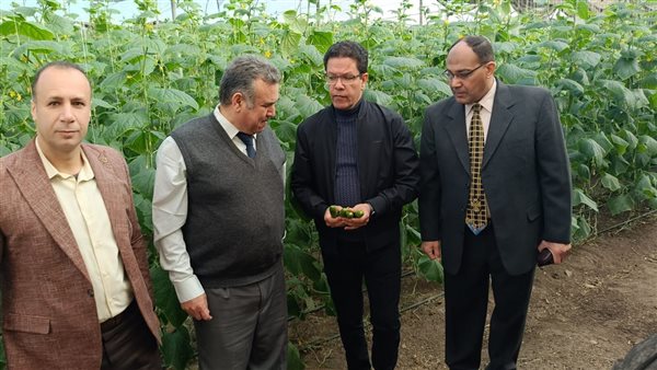 إنشاء منفذ شركة بداية لتسويق خدمات جامعة بنها