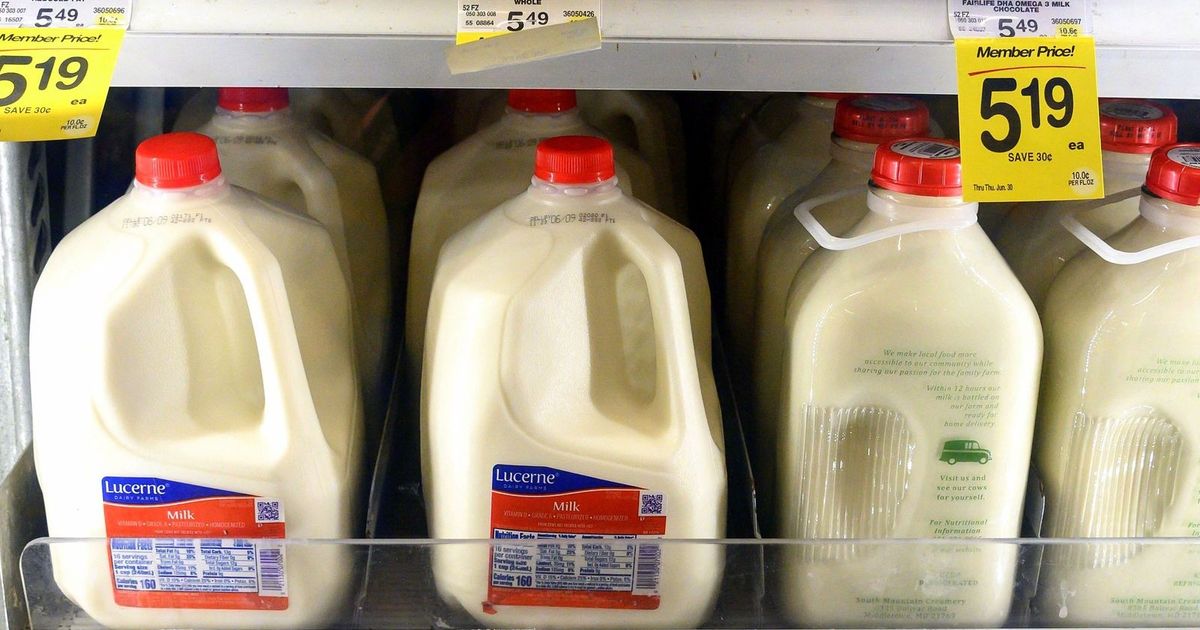 الصين تفرض رسوماً 43% على واردات الألبان من الاتحاد الأوروبي