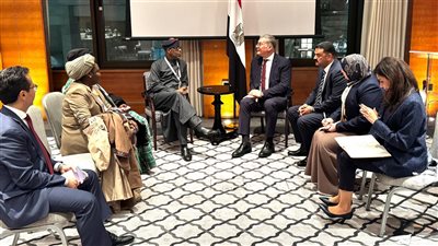 وزير البترول يبحث الشراكة وتبادل الخبرات مع نيجيريا في قطاع التعدين