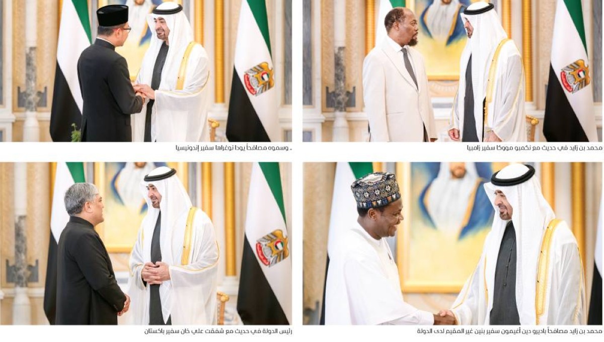 نهج الإمارات راسخ في بناء جسور التعاون لتحقيق النماء ودعم السلام