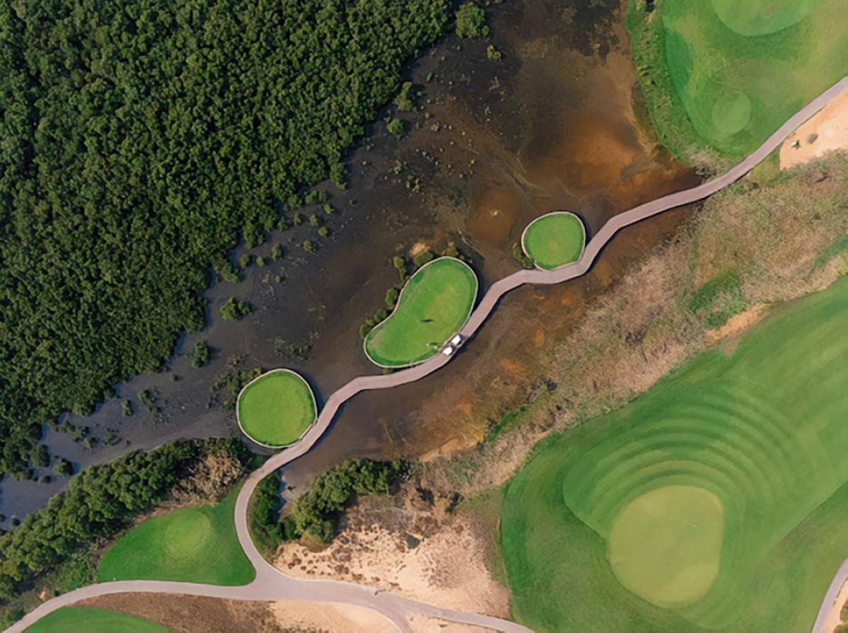 الإمارات إنجازات محلية لا تتوقف وريادة عالمية في الاستدامة والذكاء الاصطناعي