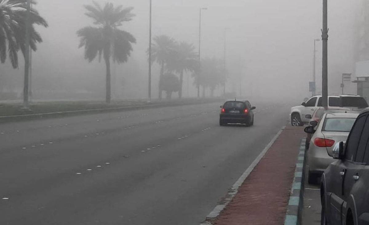 أجواء رطبة وضبابية صباحاً وغائمة جزئياً نهاراً حتى 12 ديسمبر
