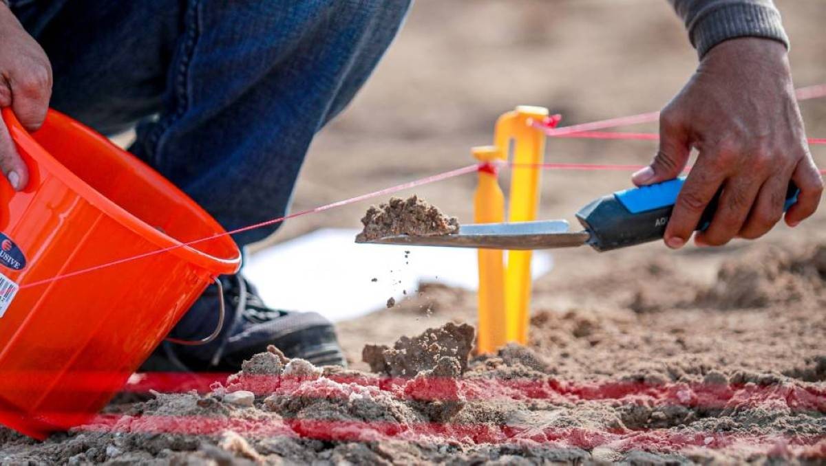 حوكمة ذكية للتربة عبر البيانات والتحليل والتنبؤ في أبوظبي