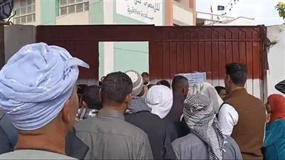 إقبال متوسط في لجان حوش عيسى بمحافظة البحيرة